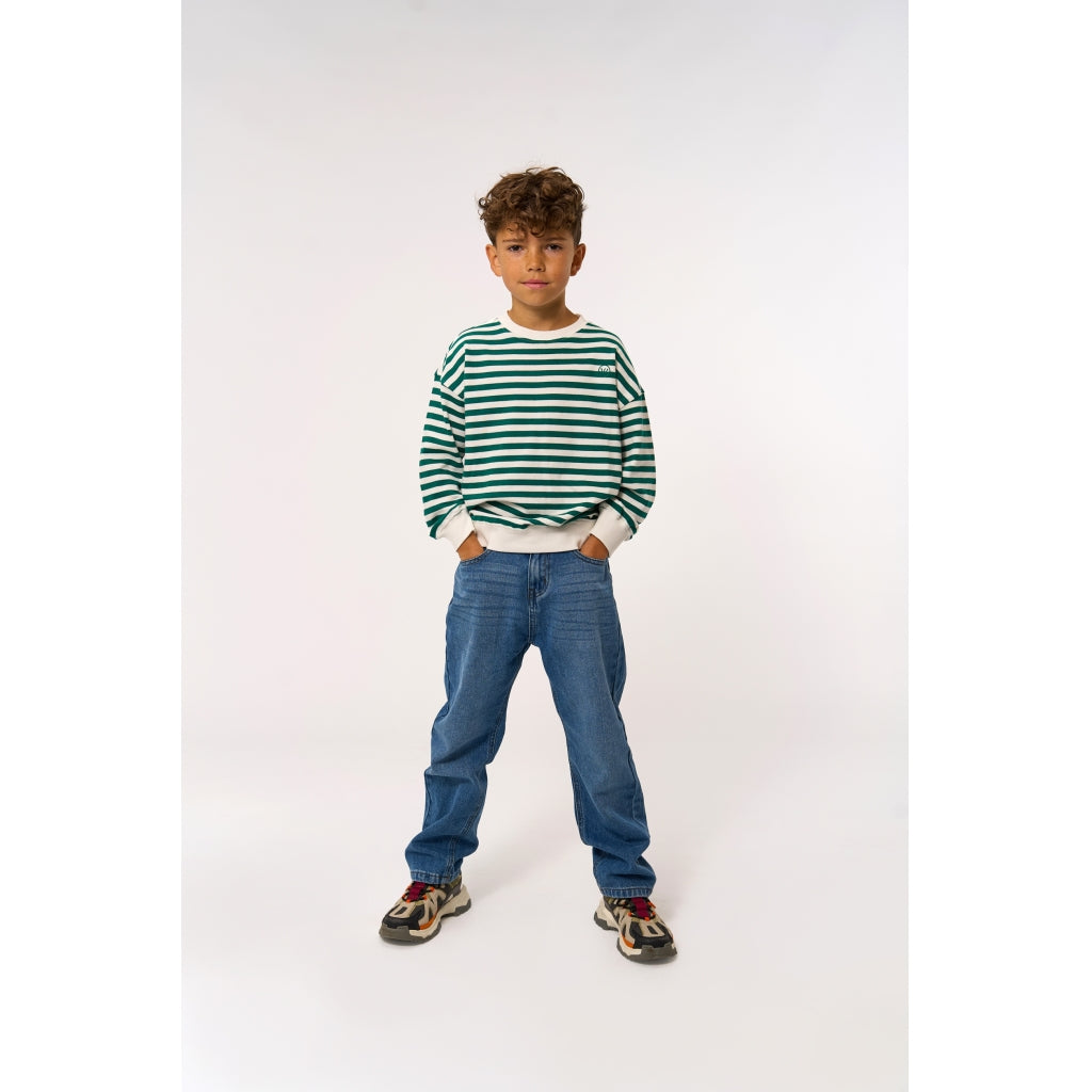 THE NEW TNNero Oversize Sweatshirt Sweatshirt Alpine Green Striped