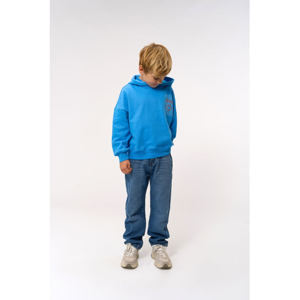 THE NEW TNPatrick Oversize Hættetrøje Sweatshirt Campanula