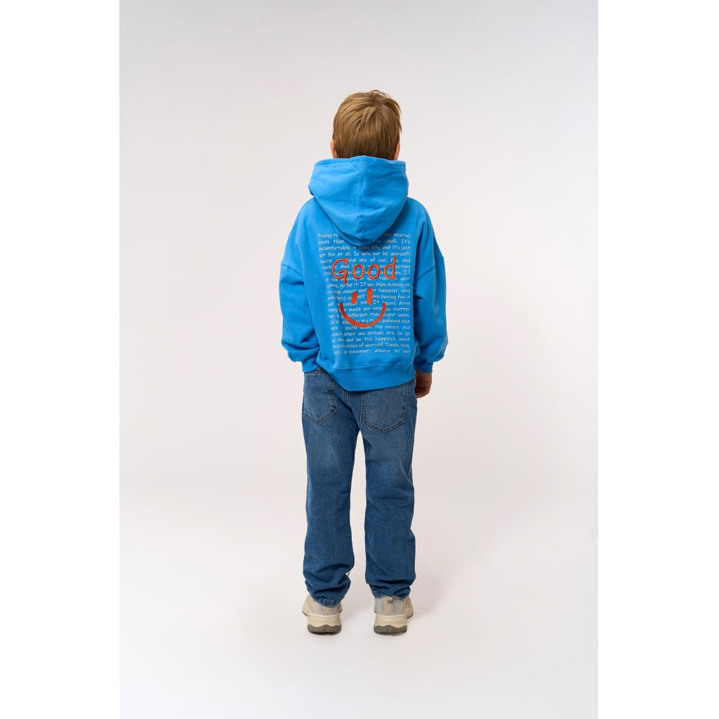 THE NEW TNPatrick Oversize Hættetrøje Sweatshirt Campanula