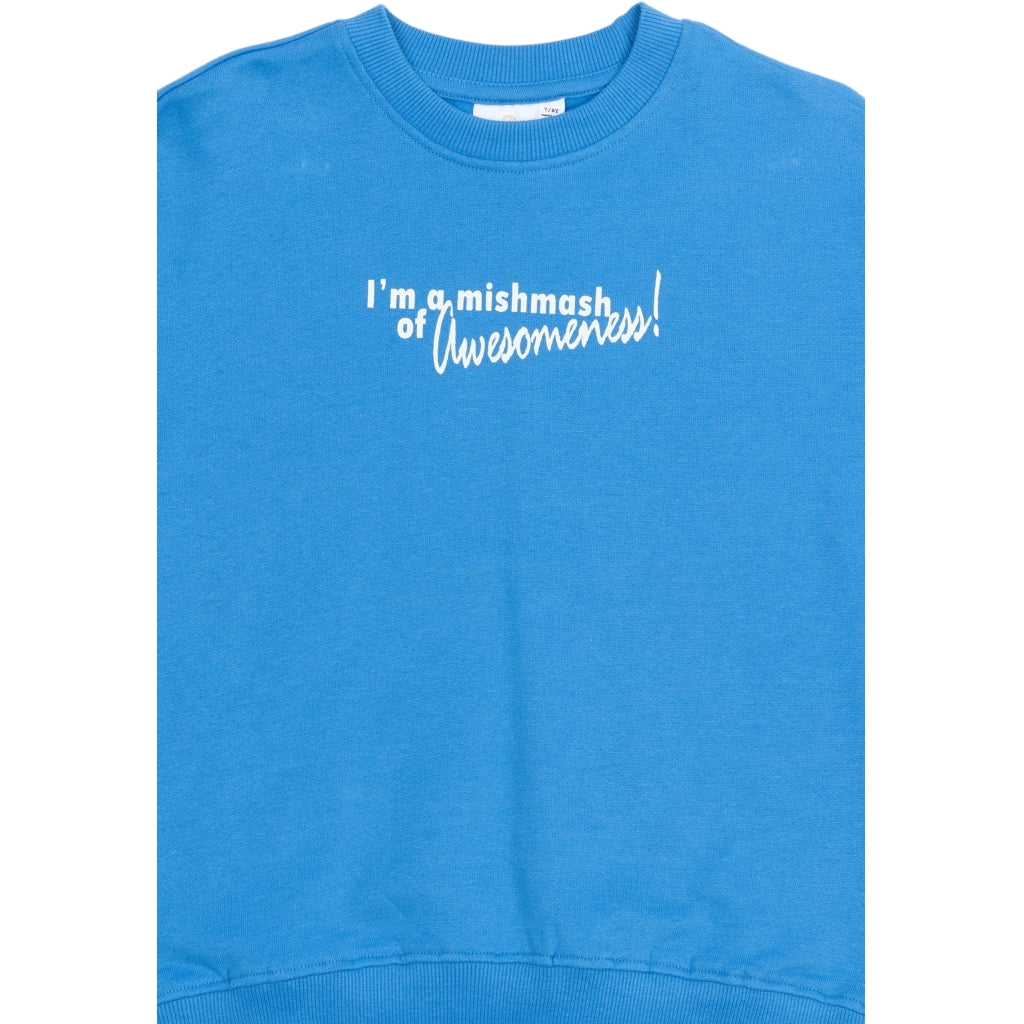 THE NEW TNPelle Oversize Sweatshirt Sweatshirt Campanula