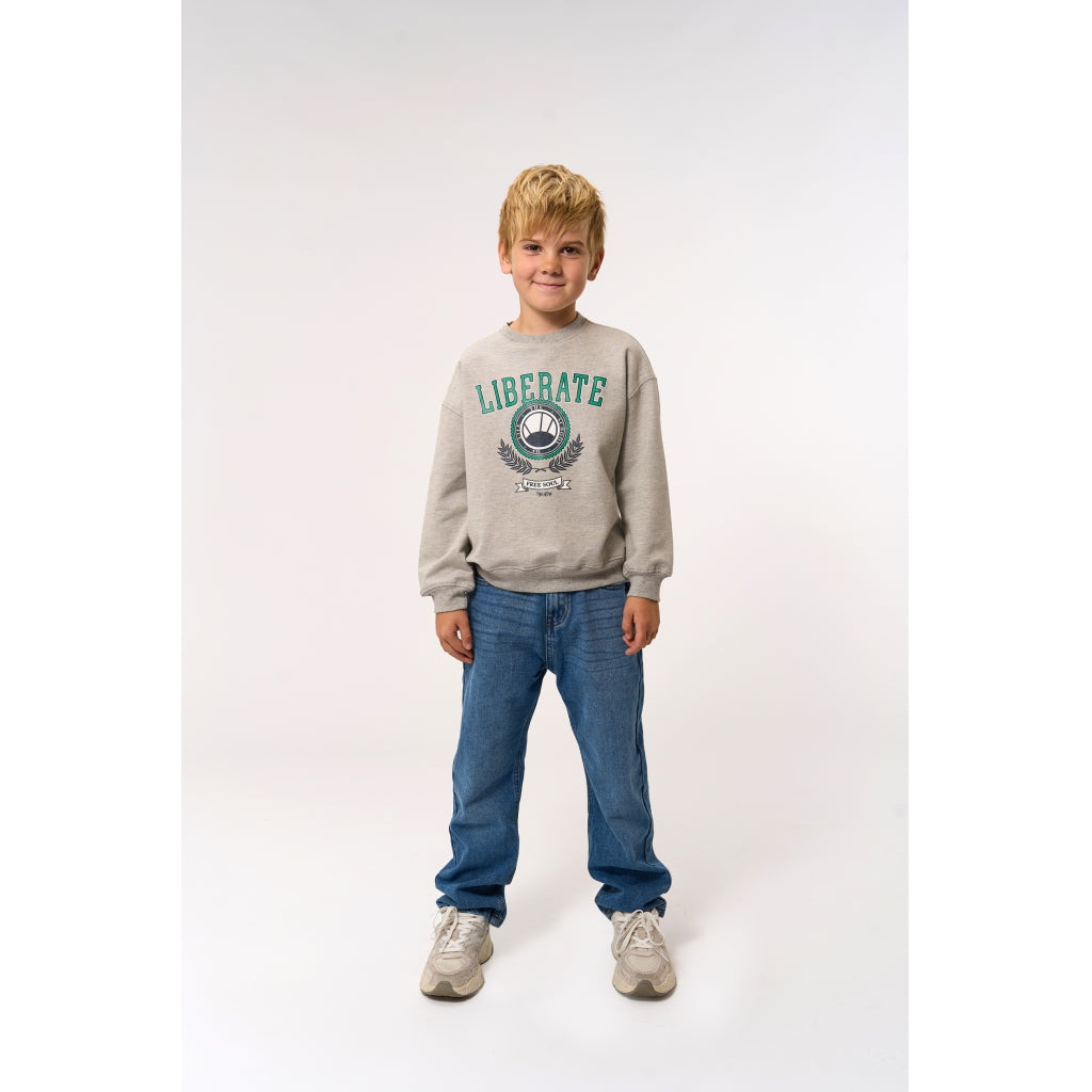 THE NEW TNPenno Oversize Sweatshirt Sweatshirt Light Grey Melange