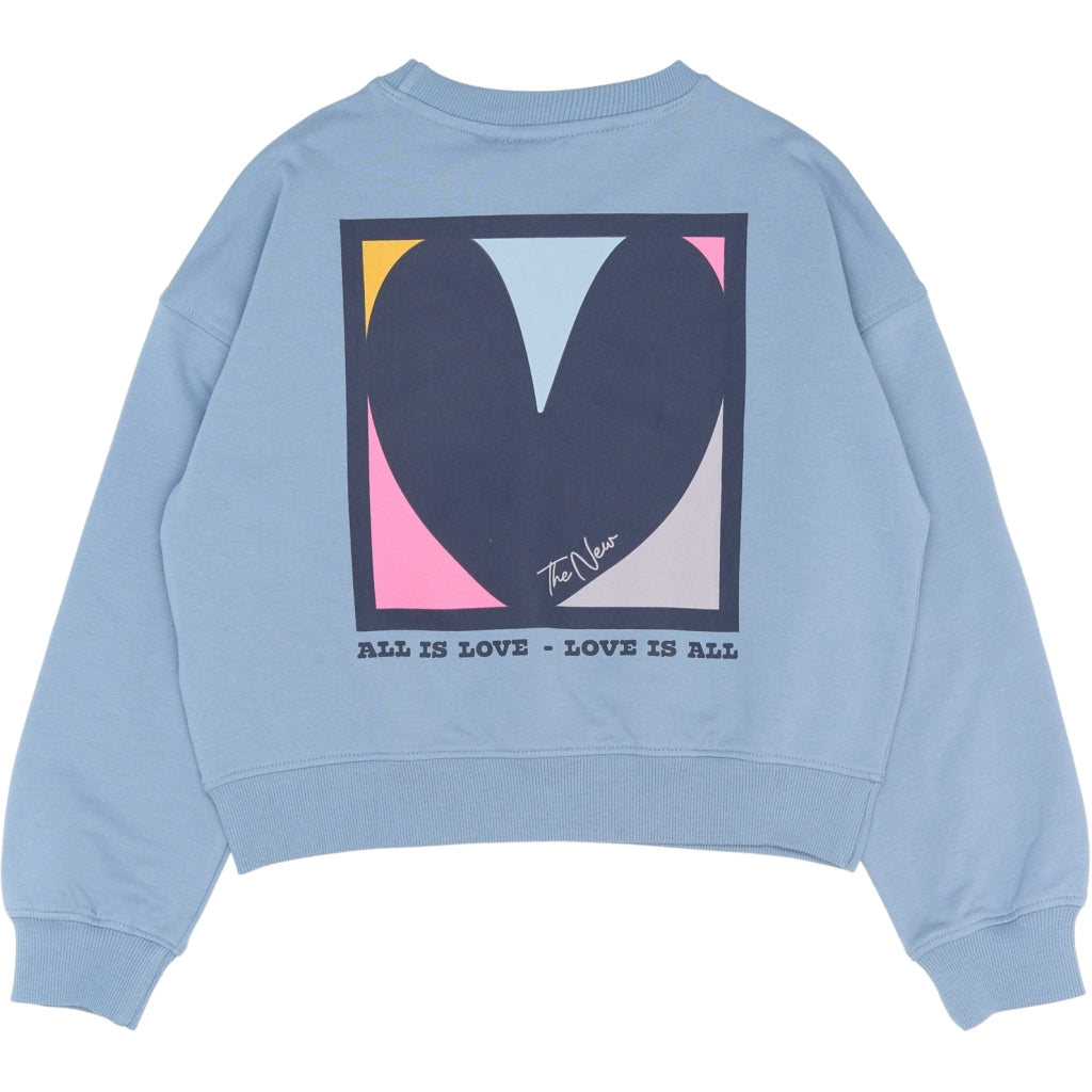 THE NEW TNPetria Short Oversize Sweatshirt Sweatshirt Tempest