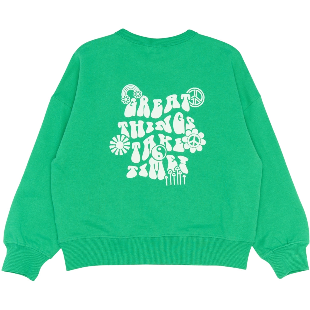 THE NEW TNPhyliss Oversize Sweatshirt Sweatshirt Simply Green