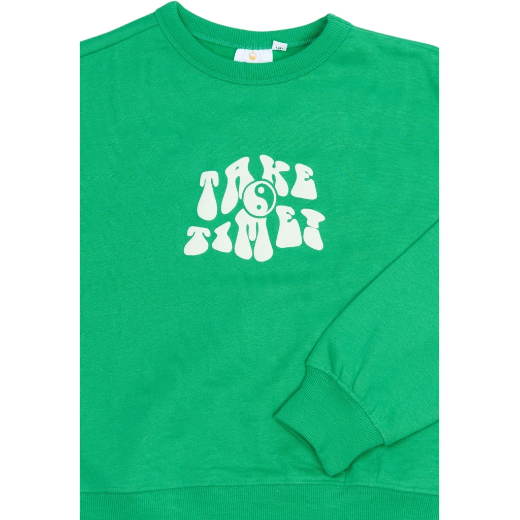 THE NEW TNPhyliss Oversize Sweatshirt Sweatshirt Simply Green