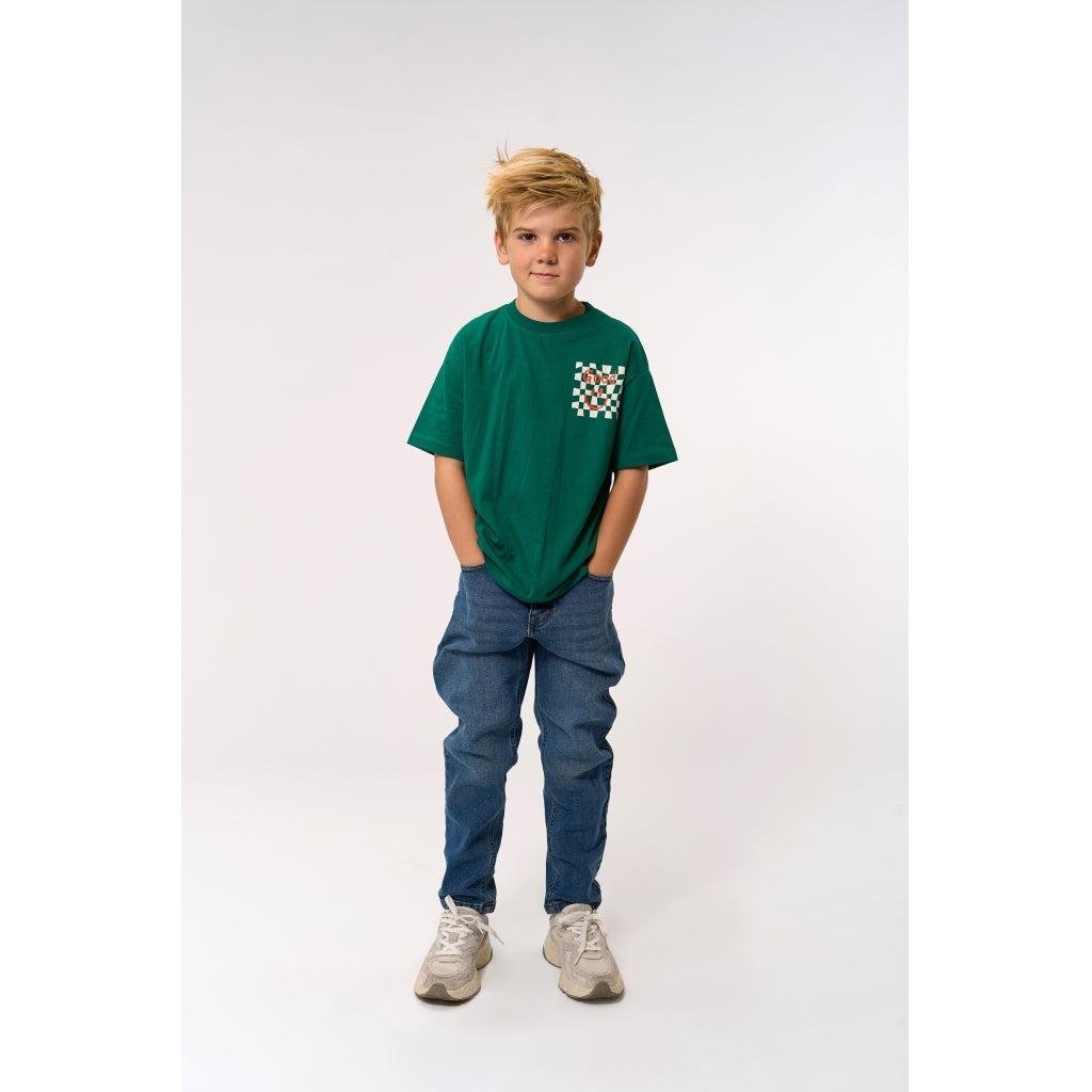 THE NEW TNPiero Oversize T-shirt T-shirt Alpine Green