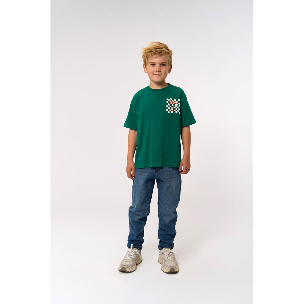 THE NEW TNPiero Oversize T-shirt T-shirt Alpine Green