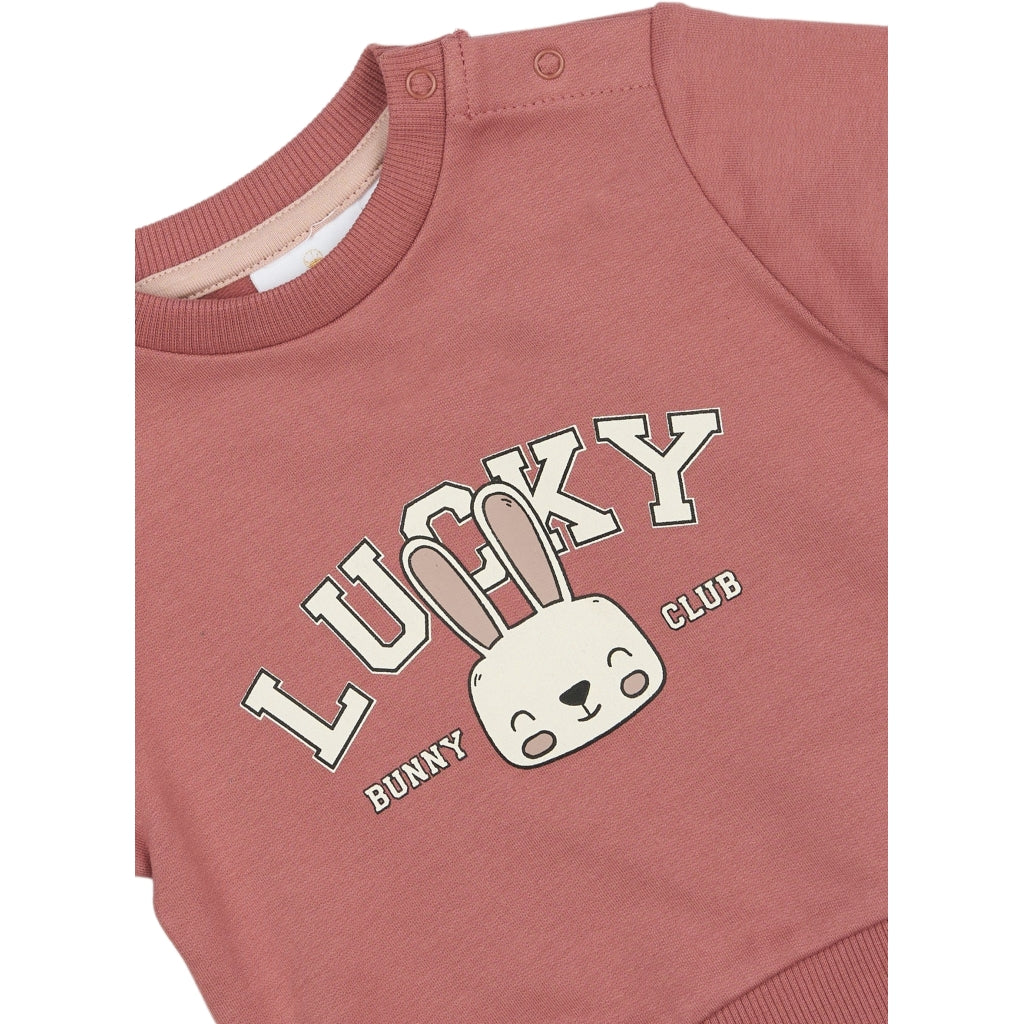 THE NEW SIBLINGS TNSBPheba Sweatshirt Sweatshirt Withered Rose