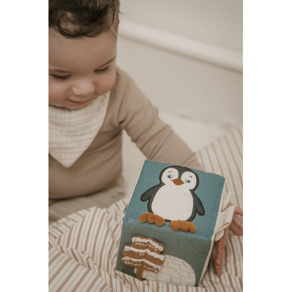 Fabelab Fabric Cube - Polarland Baby Toys Seedpearl