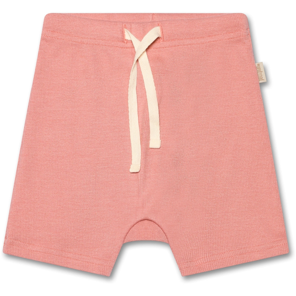 PETIT PIAO Shorts Modal Shorts Sea Shell Pink