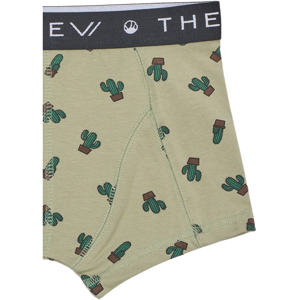 THE NEW TNBoxershorts 2-Pak Undertøj Tea Cactus AOP