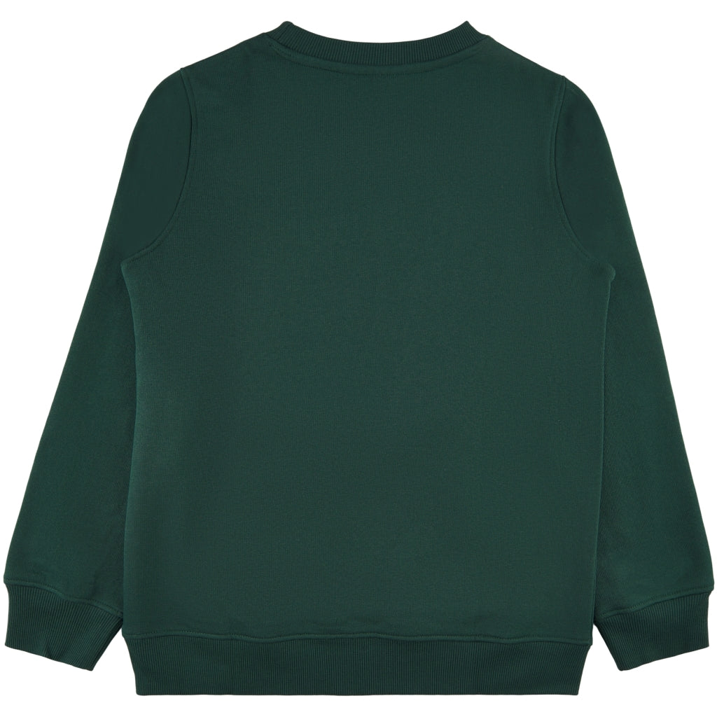 THE NEW TNHagen Sweatshirt Sweatshirt Green Gables