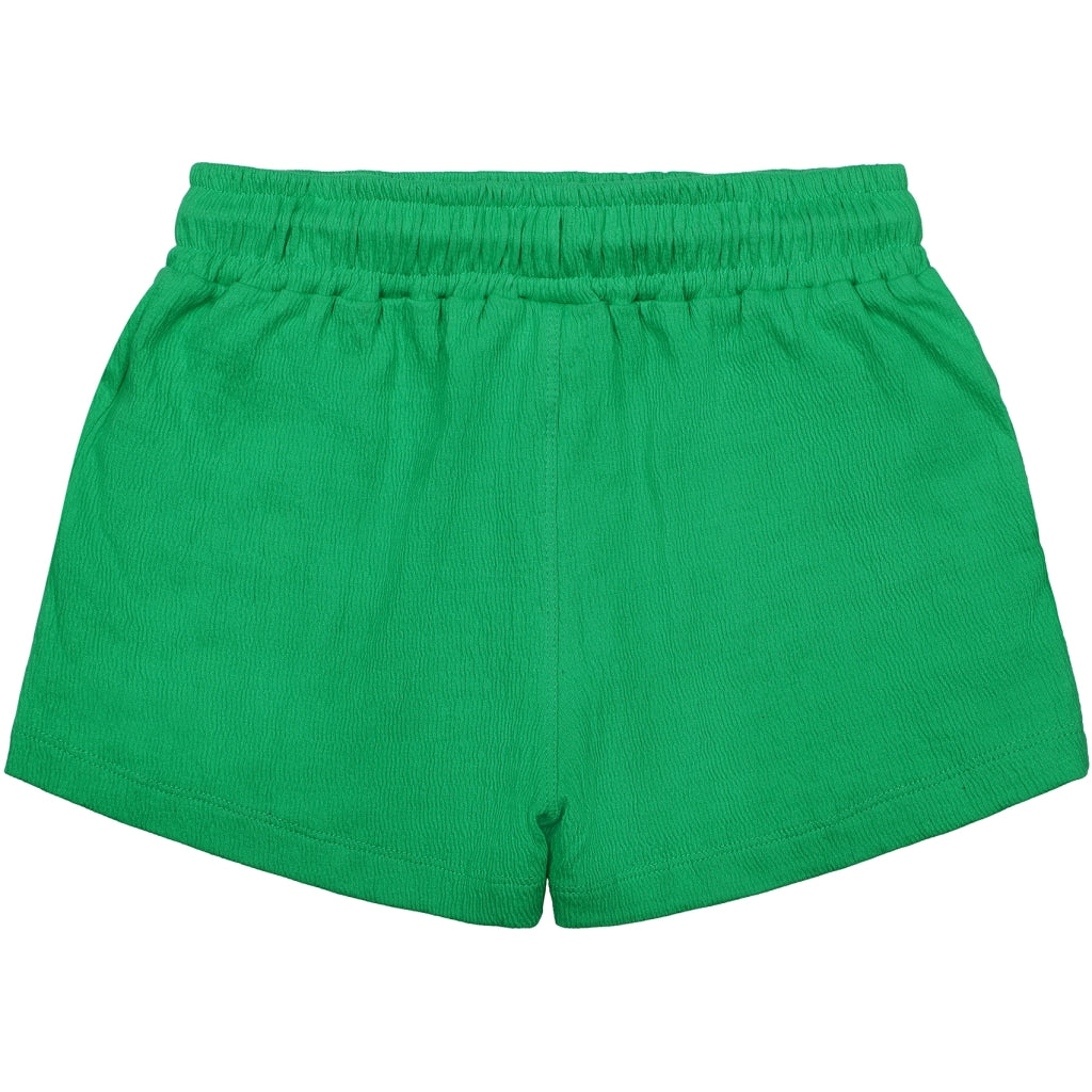 THE NEW TNJia Shorts Shorts Bright Green
