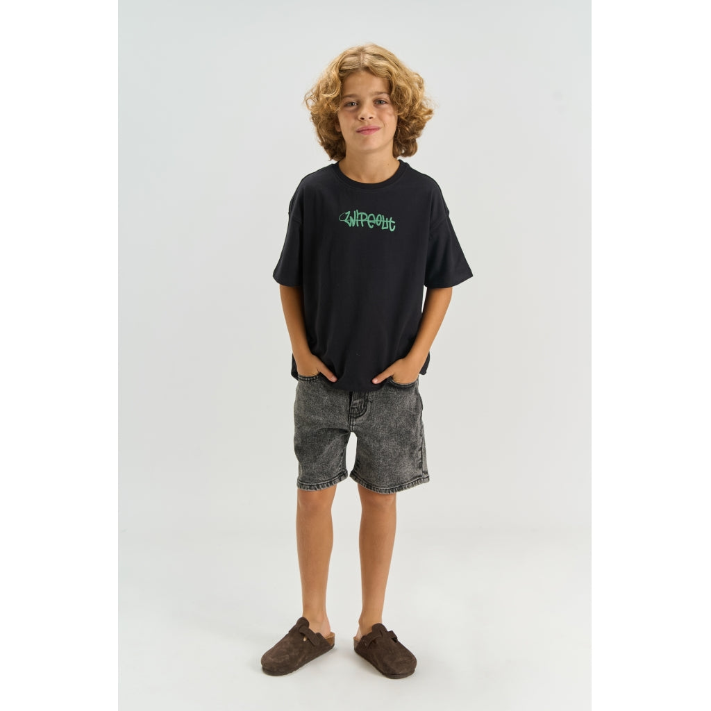 THE NEW TNJosh Denim Shorts Shorts LIGHT GREY DENIM