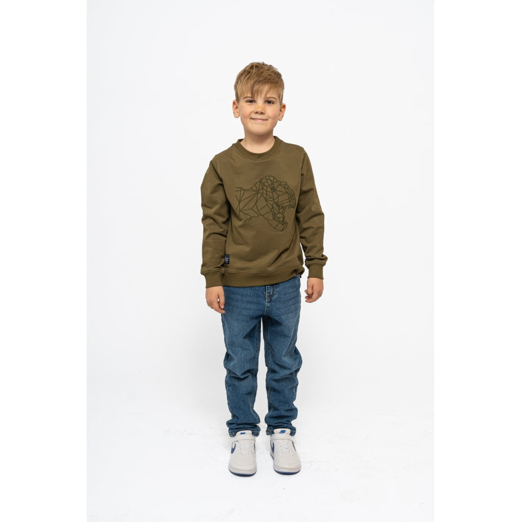 THE NEW TNLamar Sweatshirt Sweatshirt Ivy Green