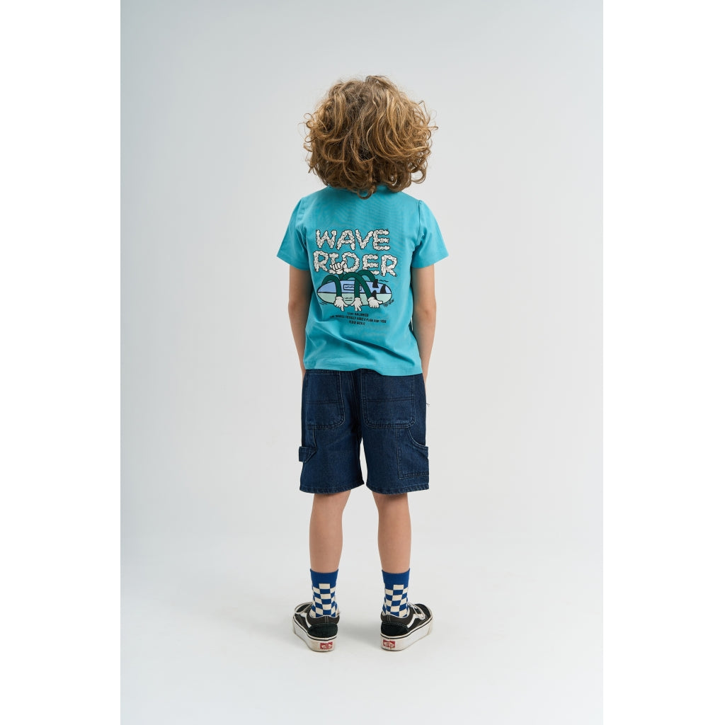 THE NEW TNNavid Skate Shorts Shorts UNWASHED DENIM