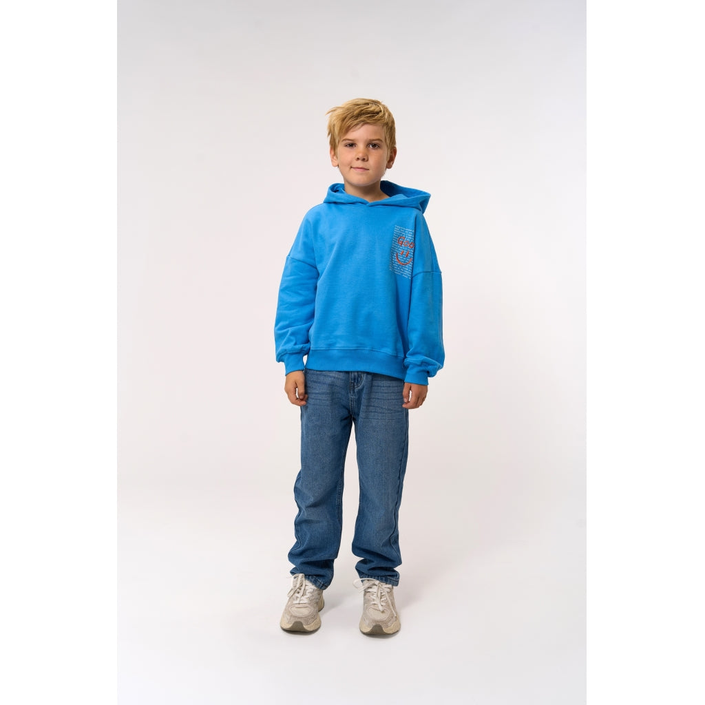 THE NEW TNPatrick Oversize Hættetrøje Sweatshirt Campanula