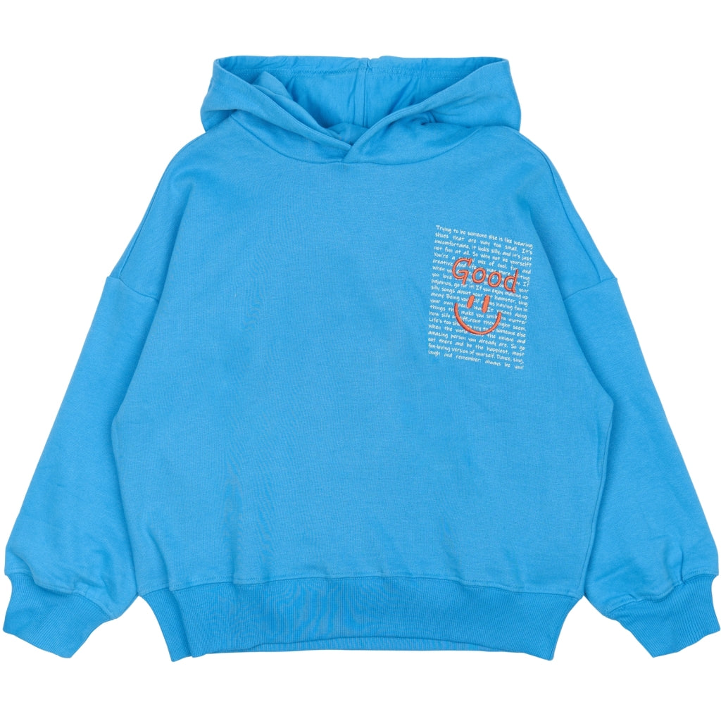 THE NEW TNPatrick Oversize Hættetrøje Sweatshirt Campanula