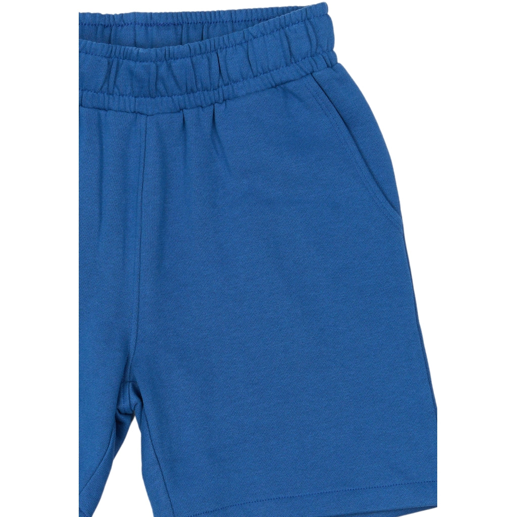THE NEW TNRasmus Sweatshorts Shorts True Blue