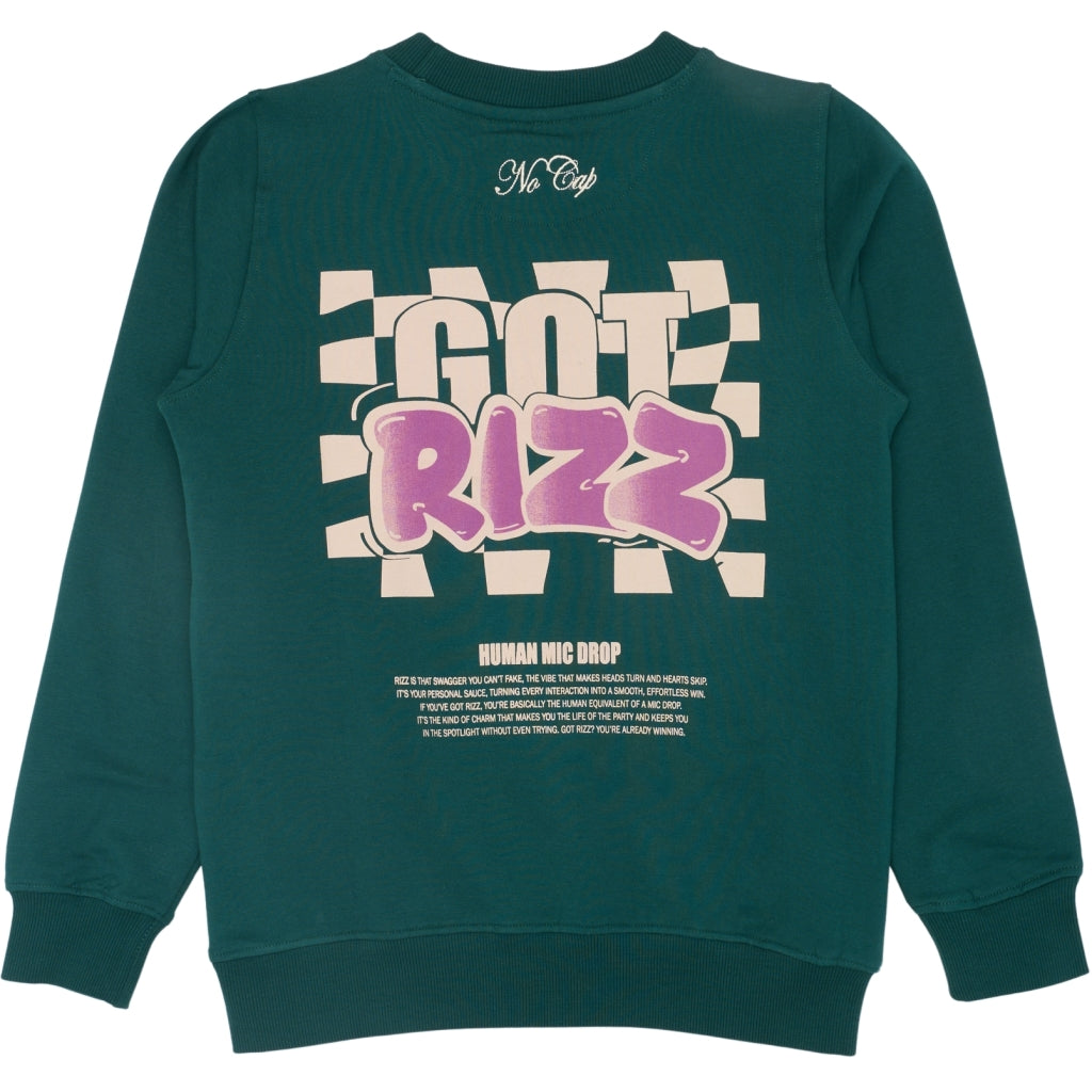 THE NEW TNReg Sweatshirt Sweatshirt Deep Teal