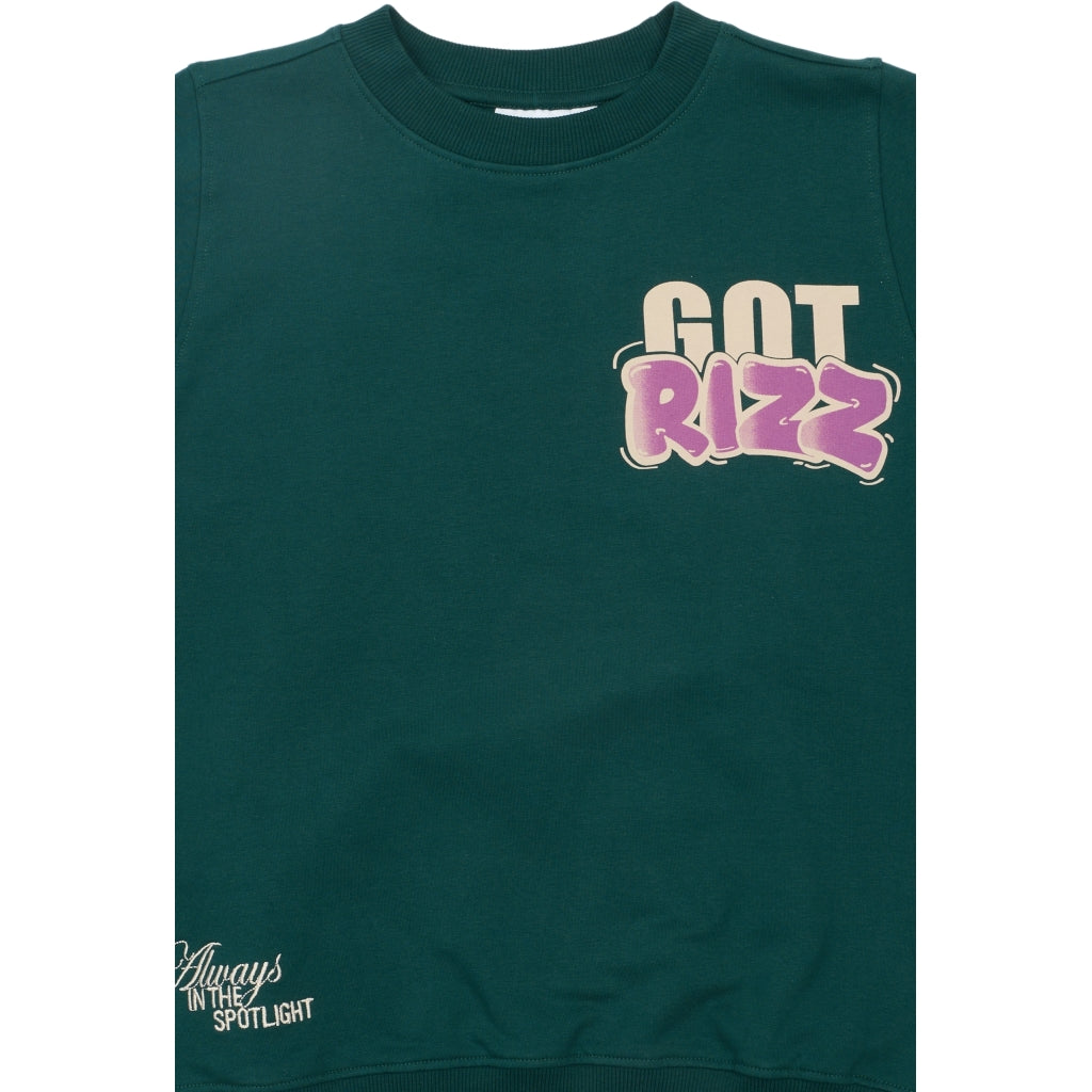 THE NEW TNReg Sweatshirt Sweatshirt Deep Teal