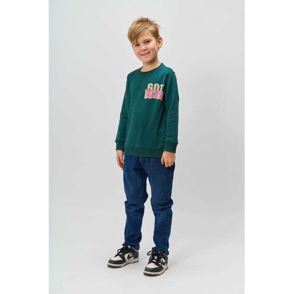 THE NEW TNReg Sweatshirt Sweatshirt Deep Teal