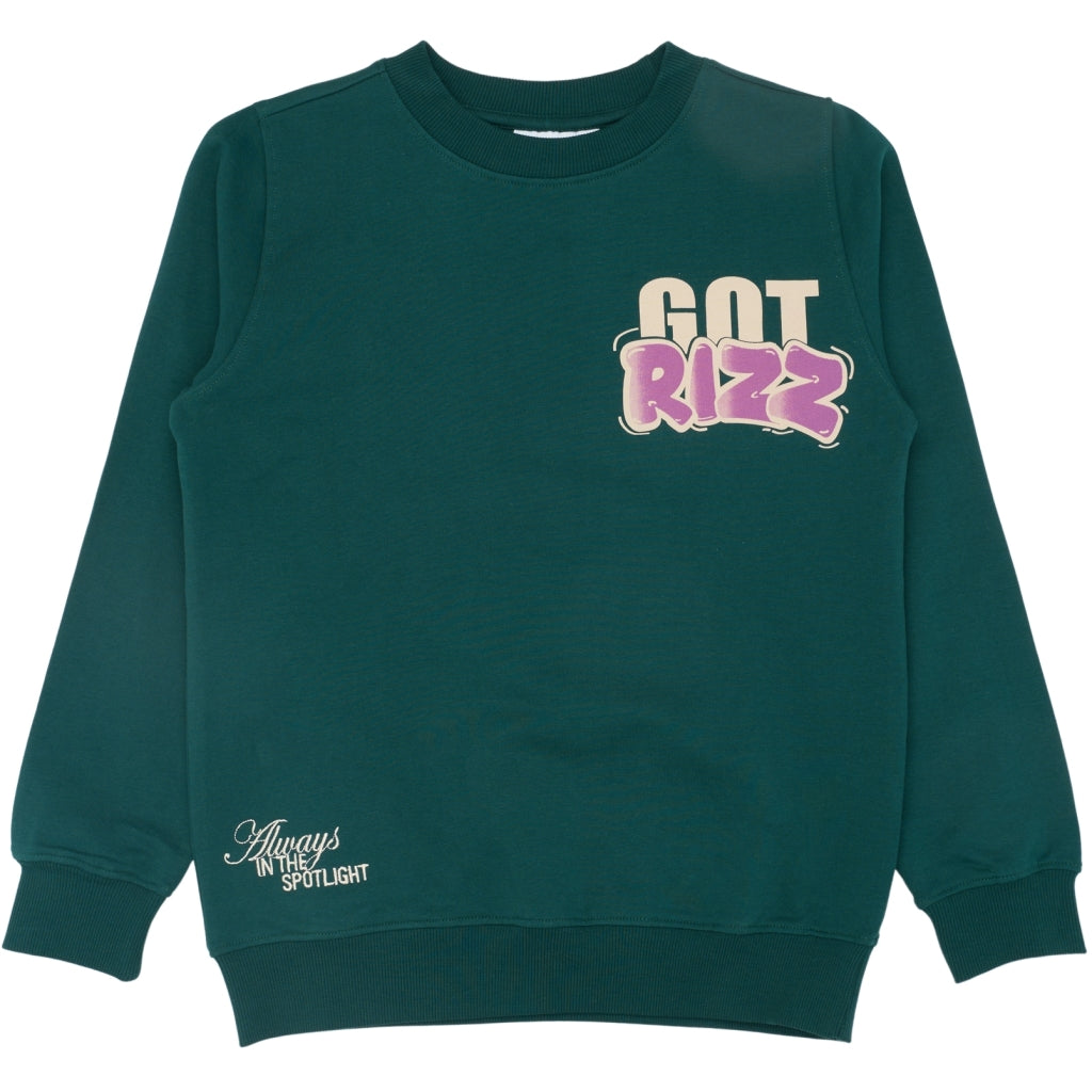 THE NEW TNReg Sweatshirt Sweatshirt Deep Teal