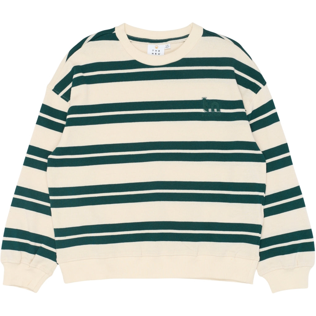THE NEW TNRob Oversize Strik Sweatshirt Sweatshirt Deep Teal Striped