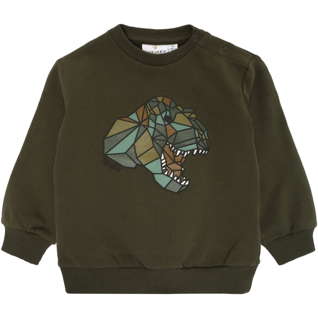 THE NEW SIBLINGS TNSLuigi Sweatshirt Sweatshirt Ivy Green