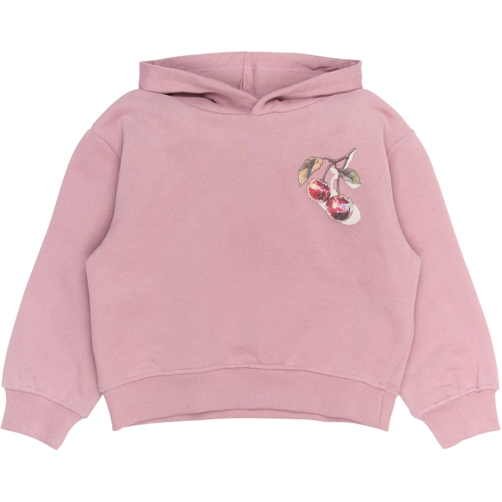 THE NEW SIBLINGS TNSTRagnhild Oversize Hættetrøje Sweatshirt Mauve Shadows