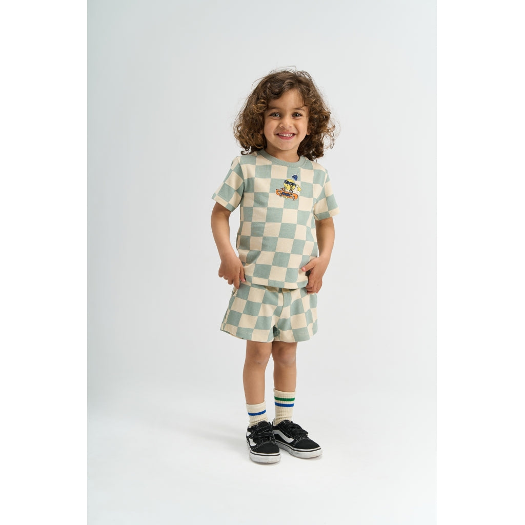 THE NEW SIBLINGS TNSTSebastian Oversize T-shirt T-shirt Aqua Gray AOP