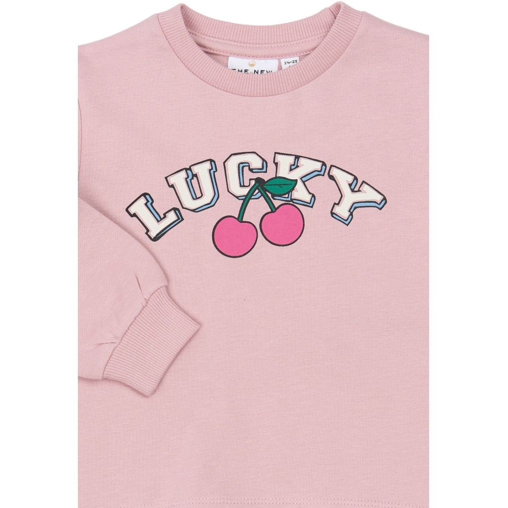 THE NEW SIBLINGS TNSTShelby Sweatshirt Sweatshirt Silver Pink
