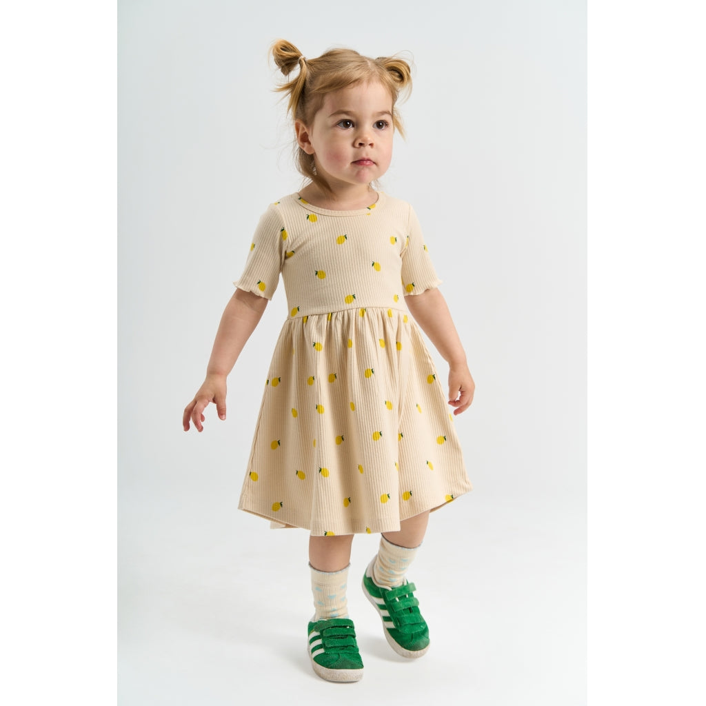 THE NEW SIBLINGS TNSTSmilla Kortærmet Rib Kjole Kjoler Gardenia AOP