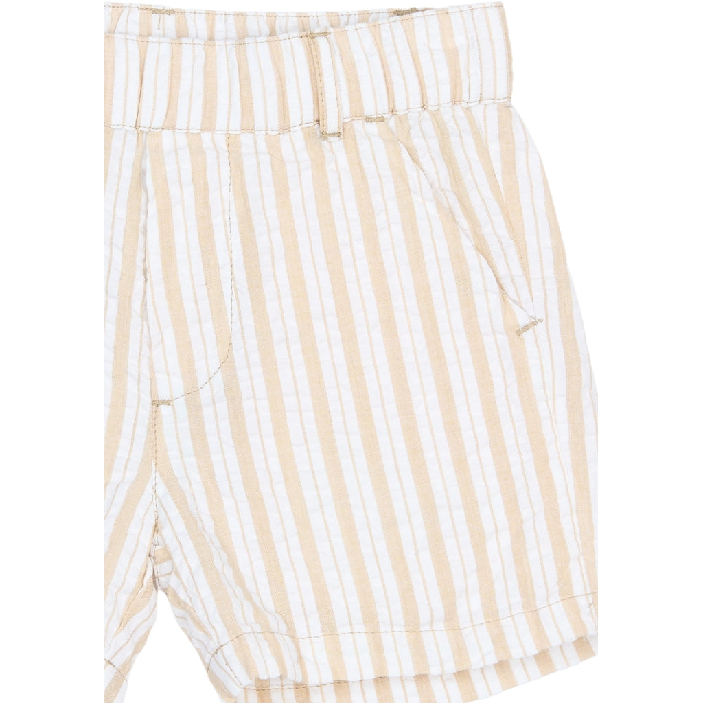 THE NEW SIBLINGS TNSTSmitty Shorts Shorts Humus Striped