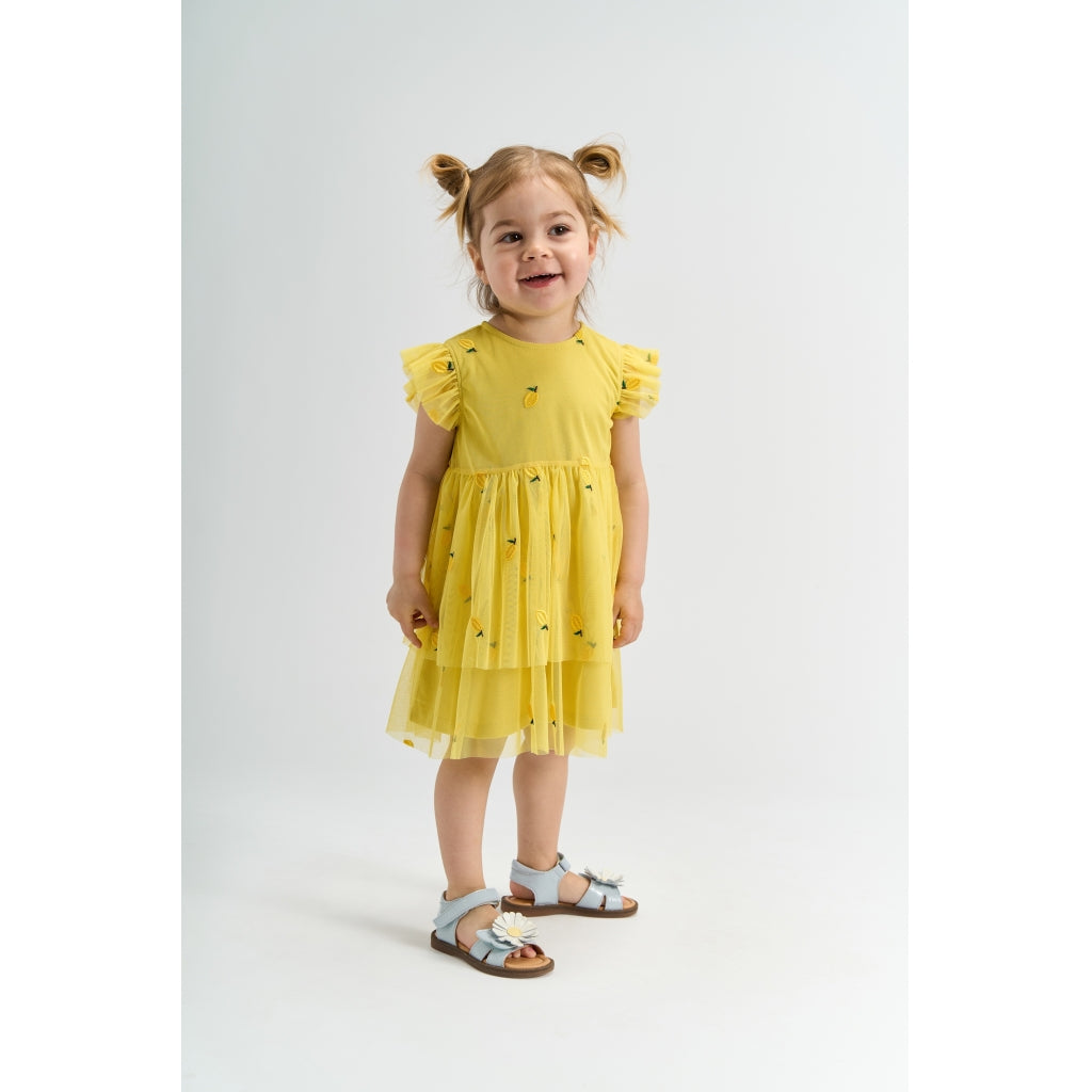 THE NEW SIBLINGS TNSTSvea Ærmeløs Kjole Kjoler Dusky Citron EMB