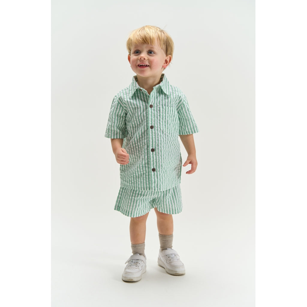 THE NEW SIBLINGS TNSTTate Shorts Shorts Creme De Menthe Striped