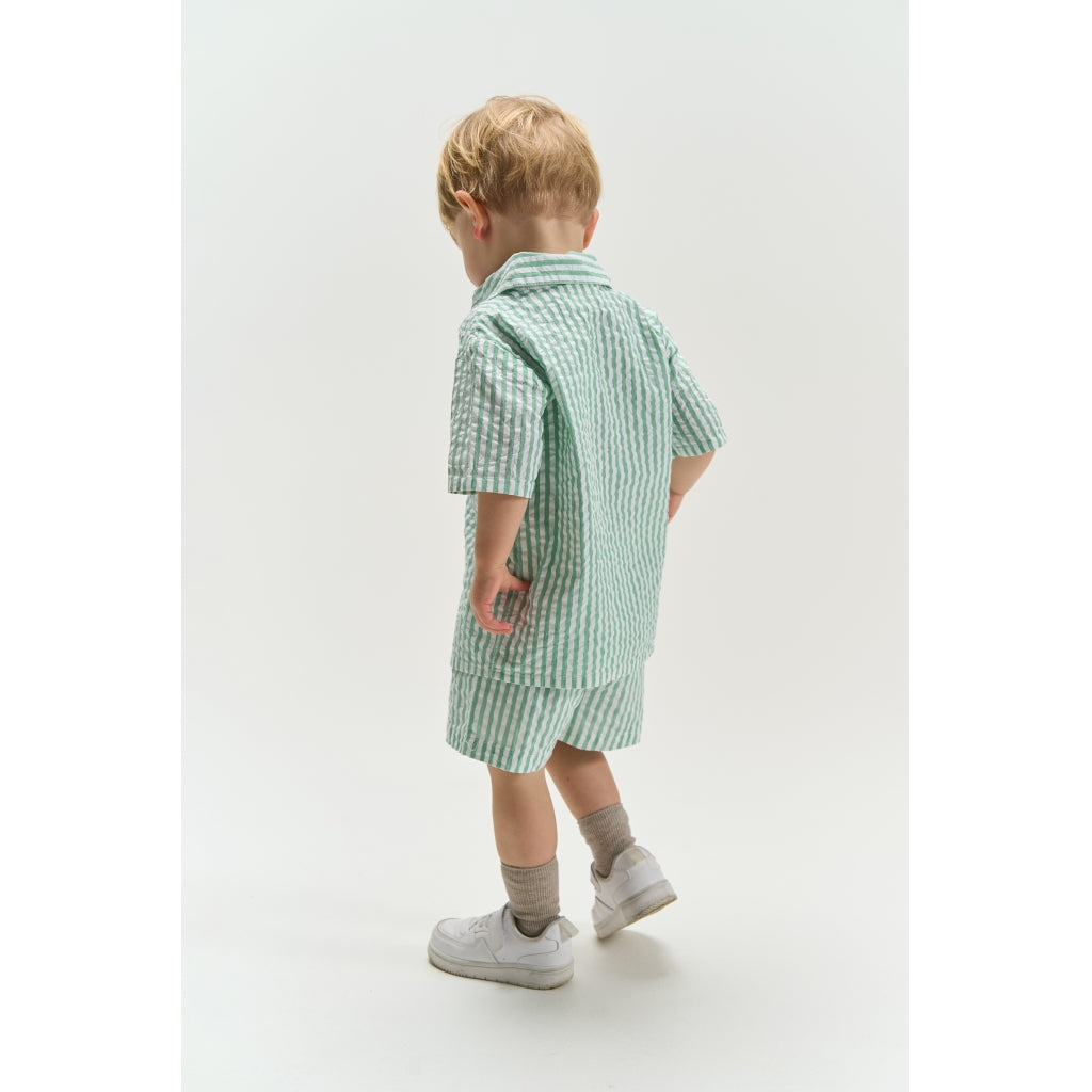 THE NEW SIBLINGS TNSTTate Shorts Shorts Creme De Menthe Striped