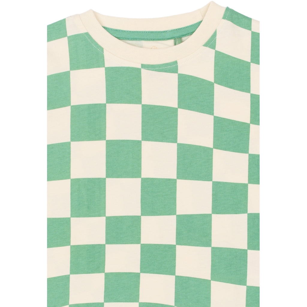 THE NEW SIBLINGS TNSTTino Oversize Bluse T-shirt Creme De Menthe Check