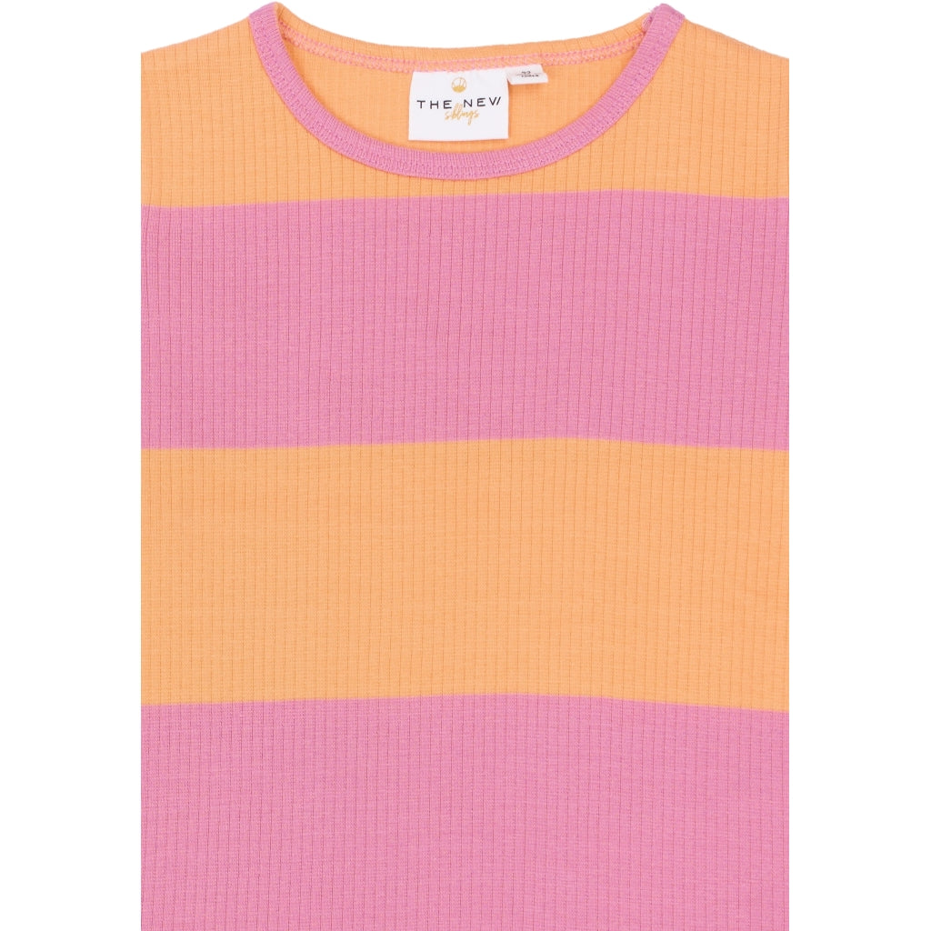 THE NEW SIBLINGS TNSTTori Kortærmet Rib Bluse T-shirt Cashmere Rose Striped