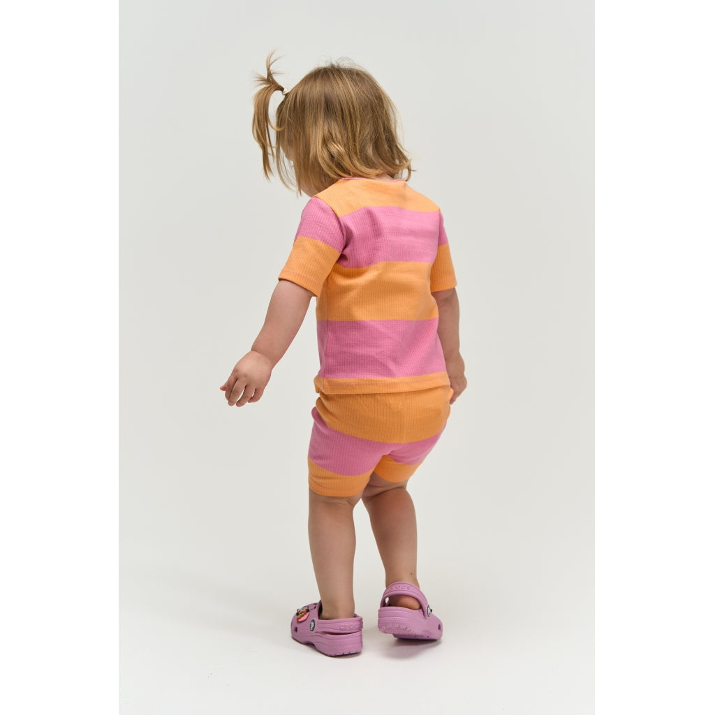 THE NEW SIBLINGS TNSTTori Kortærmet Rib Bluse T-shirt Cashmere Rose Striped
