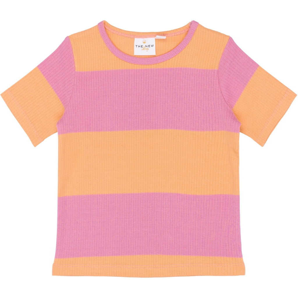 THE NEW SIBLINGS TNSTTori Kortærmet Rib Bluse T-shirt Cashmere Rose Striped