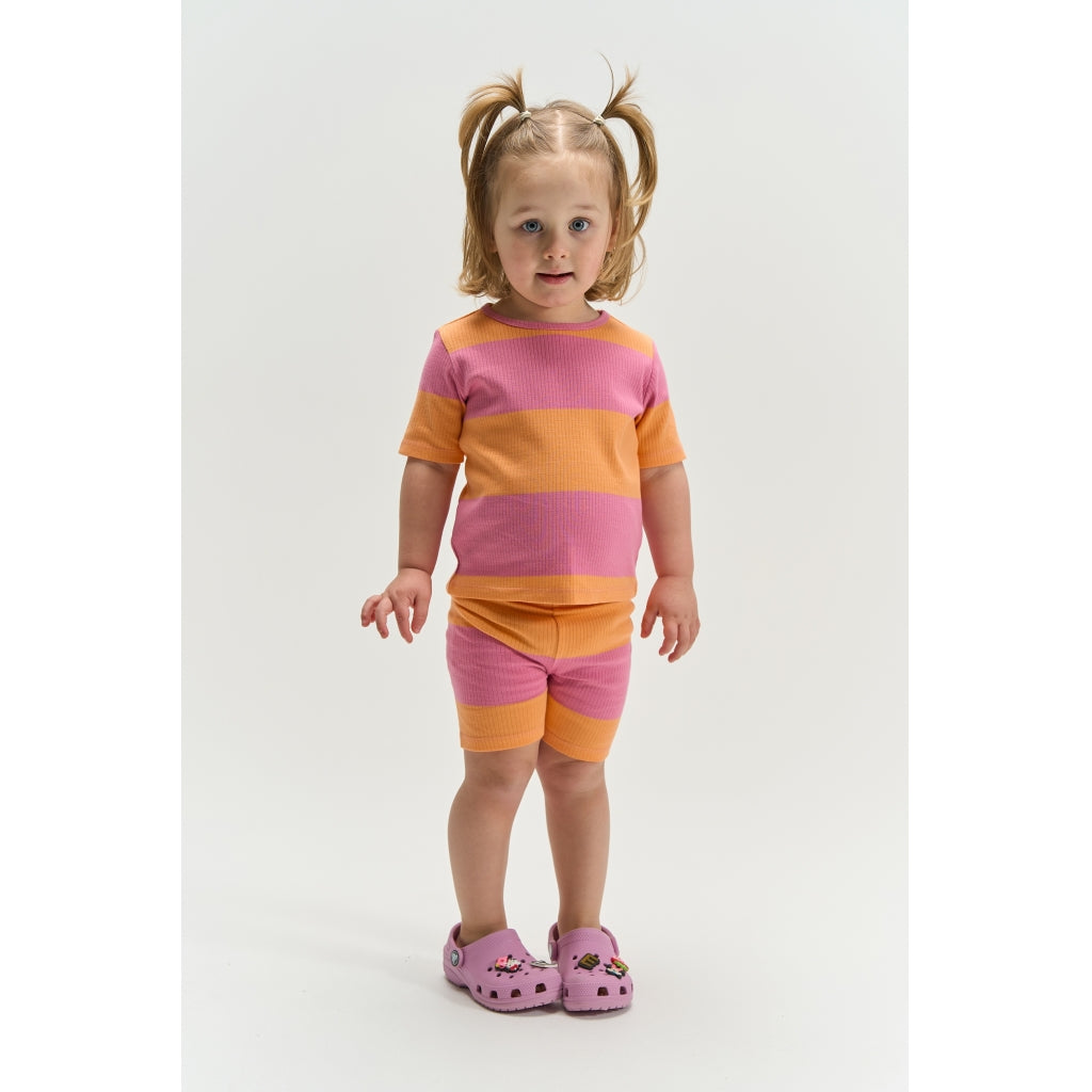 THE NEW SIBLINGS TNSTTori Tight Rib Shorts Shorts Cashmere Rose Striped