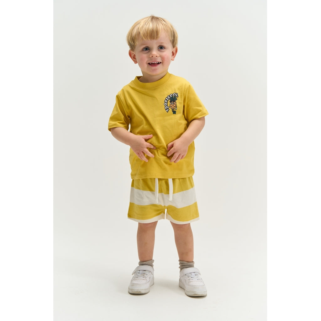 THE NEW SIBLINGS TNSTTrevor Jersey Shorts Shorts Cream Gold Striped