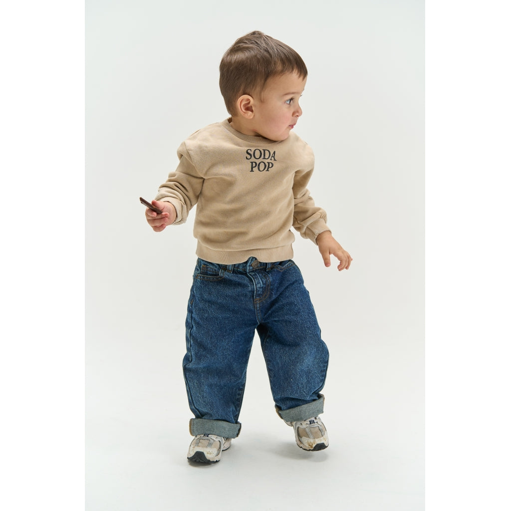 THE NEW SIBLINGS TNSTValter Oversized sweatshirt Sweatshirt Humus