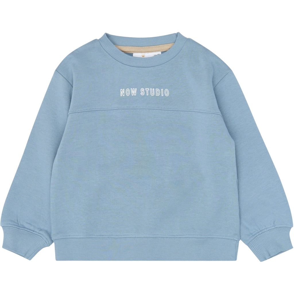 THE NEW SIBLINGS TNSTVerylo Oversized sweatshirt Sweatshirt Ashley Blue
