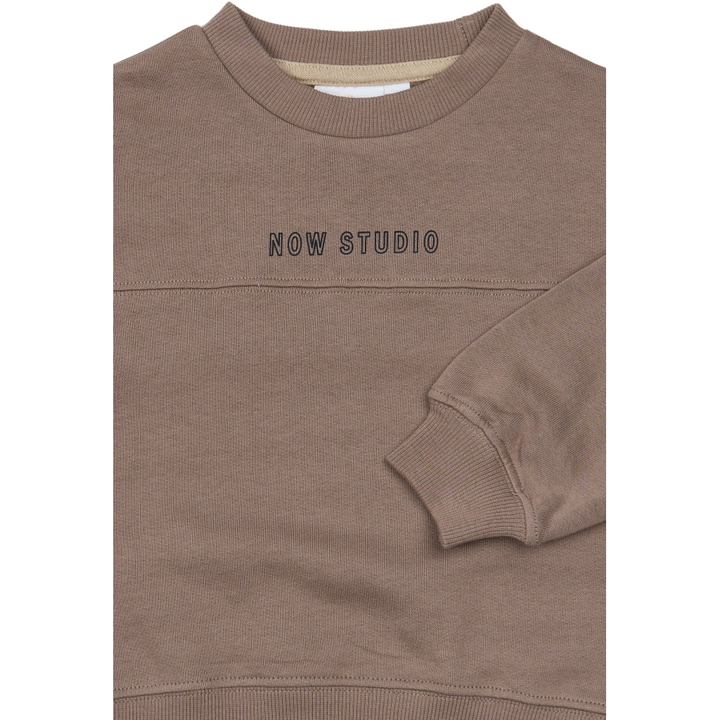 THE NEW SIBLINGS TNSTVerylo Oversized sweatshirt Sweatshirt Taupe Gray TN