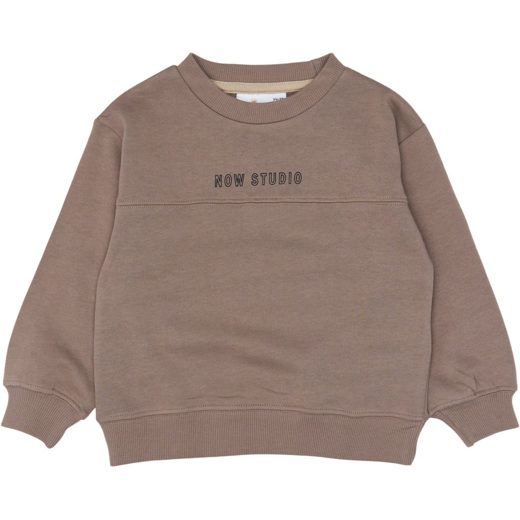 THE NEW SIBLINGS TNSTVerylo Oversized sweatshirt Sweatshirt Taupe Gray TN