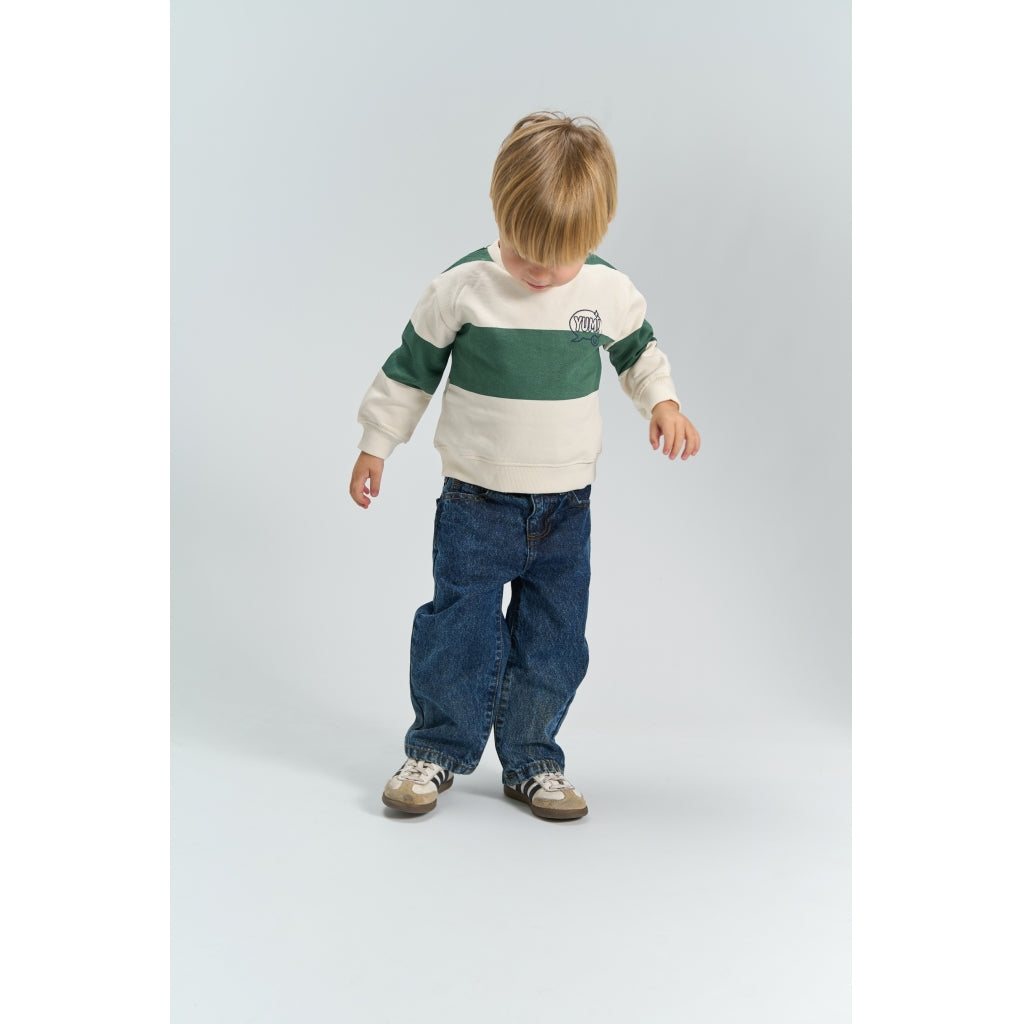 THE NEW SIBLINGS TNSTYasser Oversize Sweatshirt Sweatshirt North Atlantic Striped TN