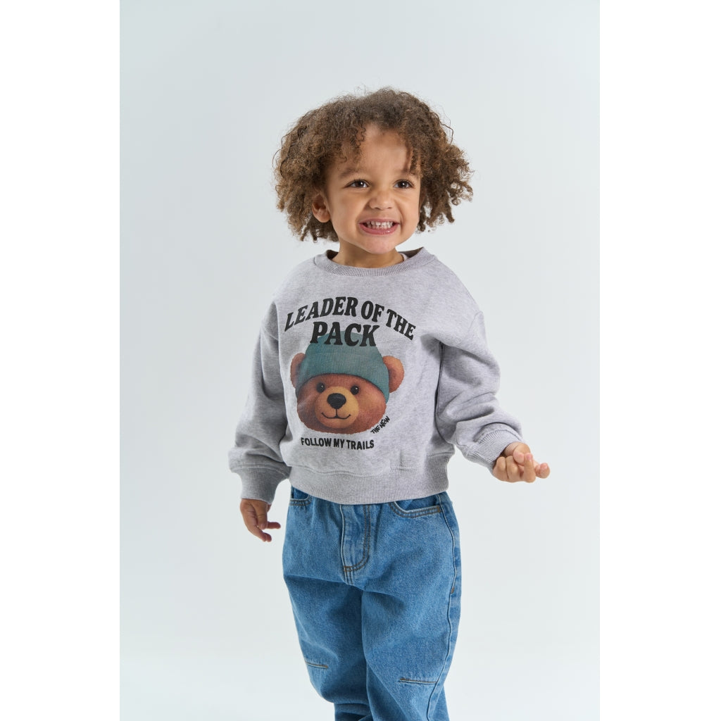 THE NEW SIBLINGS TNSTYvan Oversize Sweatshirt Sweatshirt Light Grey Melange