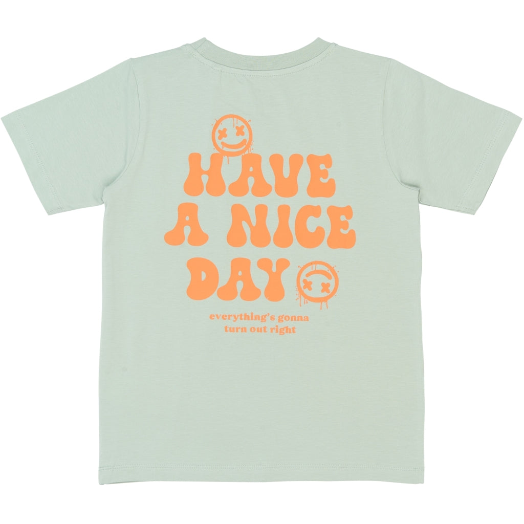 THE NEW TNSander T-Shirt T-shirt Aqua gray