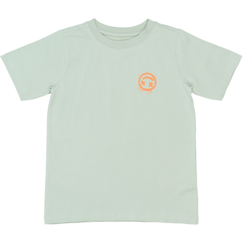 THE NEW TNSander T-Shirt T-shirt Aqua gray